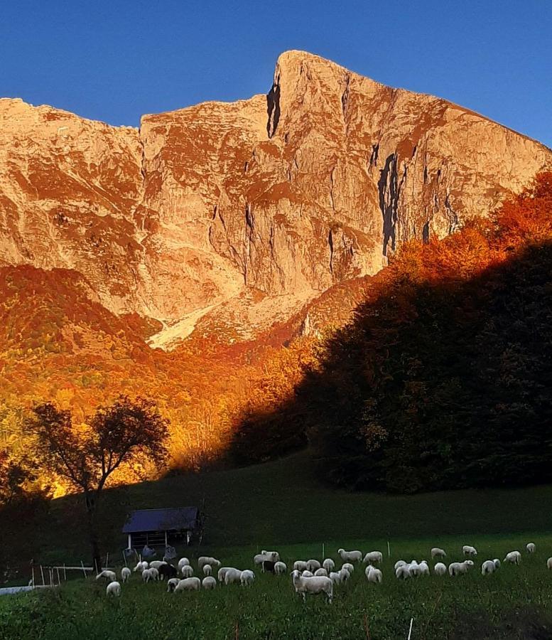 Hisa Planica Διαμέρισμα Kobarid Εξωτερικό φωτογραφία